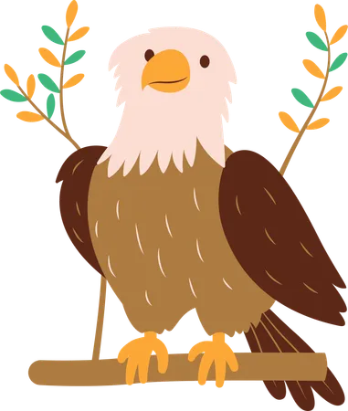 Cute Bald Eagle  Illustration