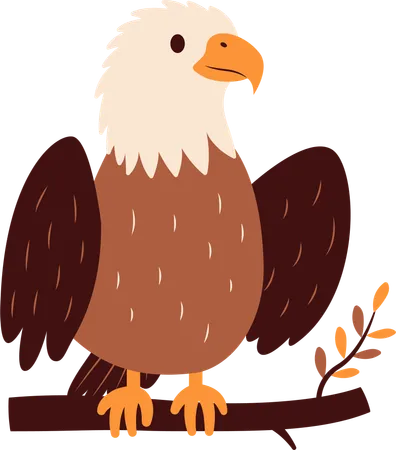 Cute Bald Eagle  Illustration