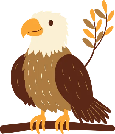 Cute Eagle  Illustration