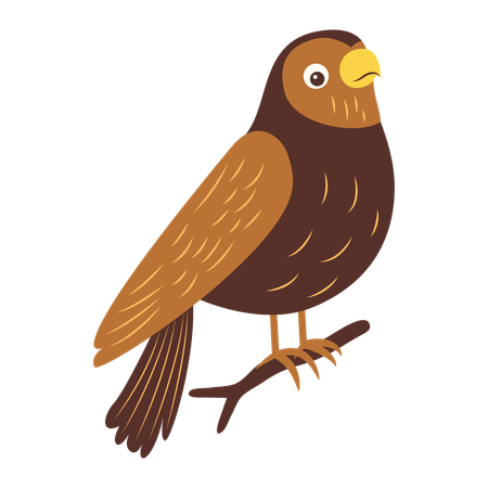 Cute Eagle on Tree Branch  Illustration