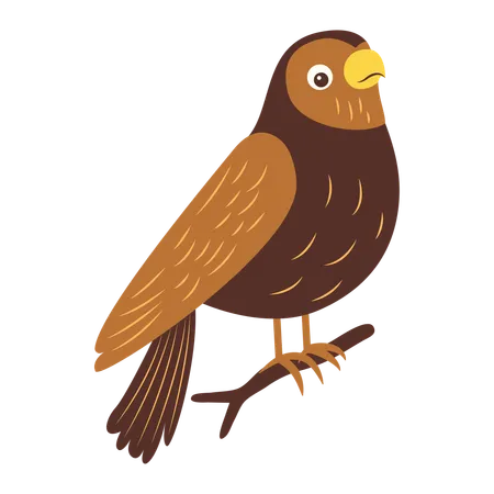 Cute Eagle on Tree Branch  Illustration