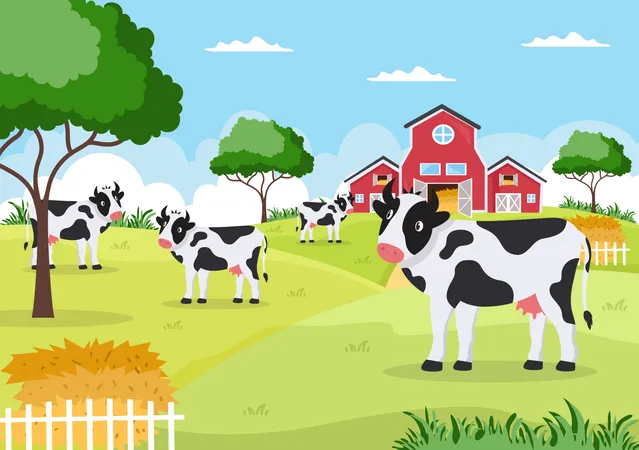 Dairy Cows in farm land  イラスト