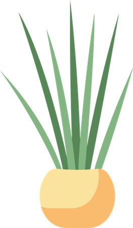 Decorating home with snake plant  Illustration