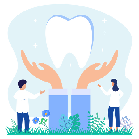 Dentist With Clean Tooth  Illustration