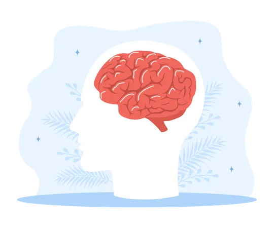 Diagnostik menschlicher Hirnerkrankungen  Illustration