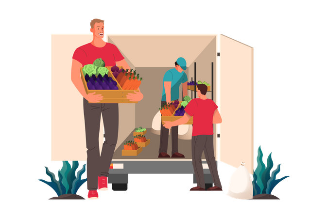 Distribution de légumes frais et d'épicerie au restaurant et au café.  Illustration