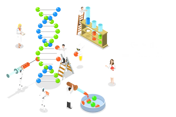 DNA structure  Illustration