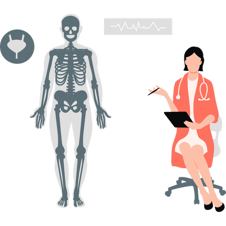 Médico mostrando el esqueleto del cuerpo humano  Ilustración