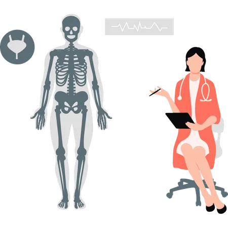 Médico mostrando el esqueleto del cuerpo humano  Ilustración