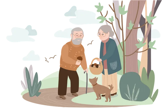 Elderly couple with dog collects mushroom  Illustration