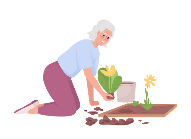 Elderly woman planting flower beds in garden  Illustration