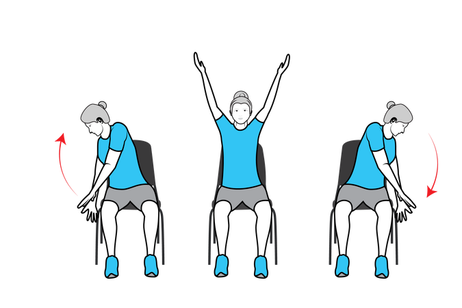 Entraînement de flexion de la taille effectué par des femmes  Illustration