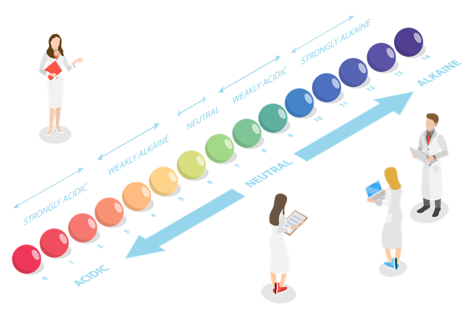 Escala de PH y equilibrio ácido-base  Ilustración