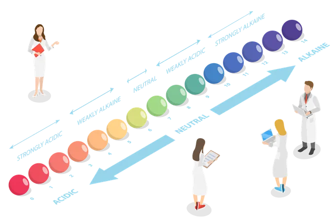 Escala de PH y equilibrio ácido-base  Ilustración