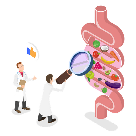 Exame de saúde intestinal  Ilustração