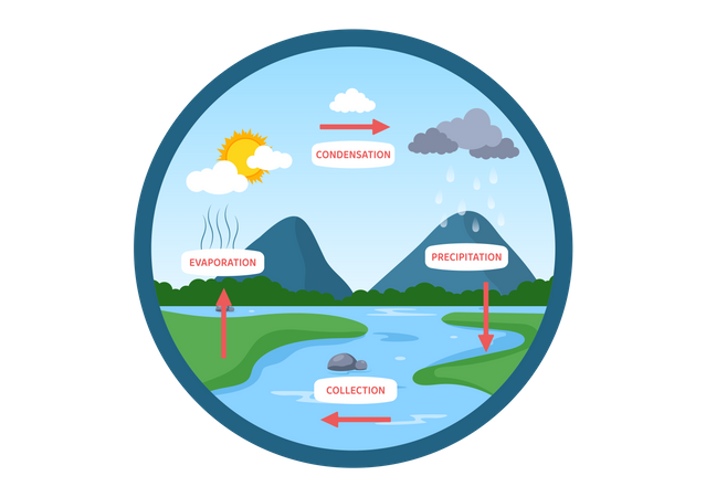 Explanation of water cycle  Illustration