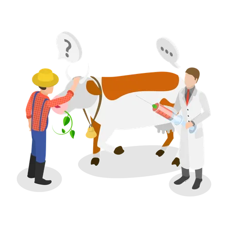 Farm Veterinary Doctor  Illustration