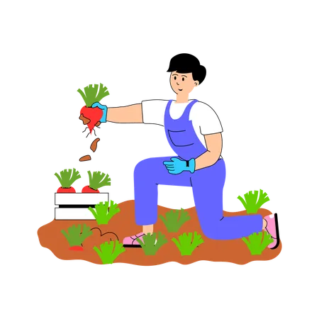 Farmer collecting fresh vegetables from the field.  Illustration