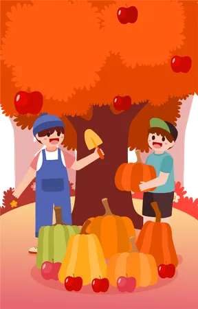 Farmer harvesting pumpkins and apples  Illustration