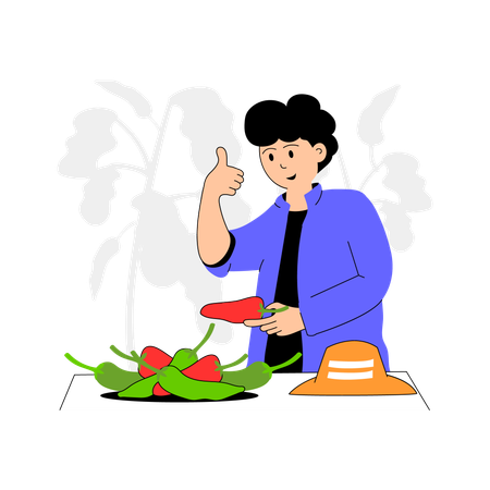 Farmer inspecting and harvesting green chillies  Illustration