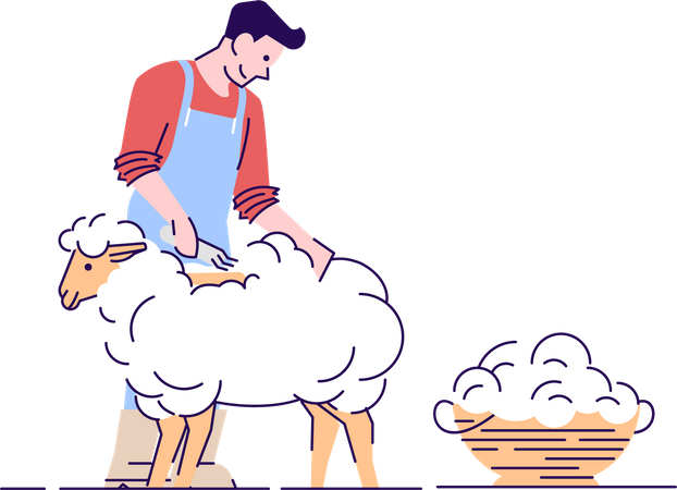 Farmer shearing sheep  Illustration