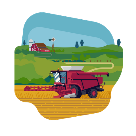 Farming and agriculture with combine harvester harvesting grain crops  Illustration