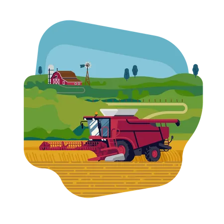 Farming and agriculture with combine harvester harvesting grain crops  Illustration