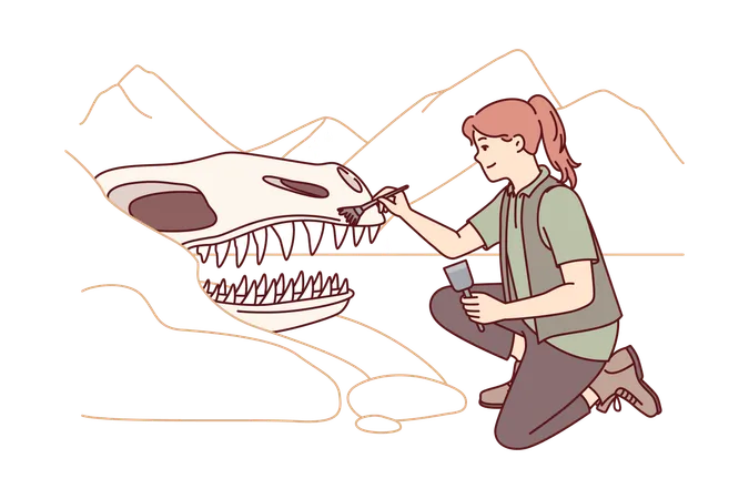 Female archeologist brushing dinosaur face  Illustration