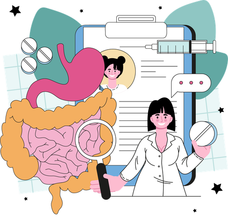 Female doctor examine digestive system  Illustration