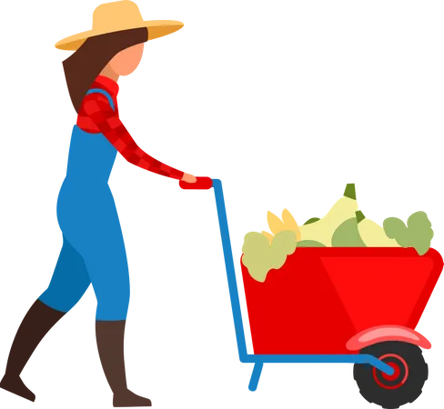 Female farmer transporting vegetables in wheelbarrow  Illustration