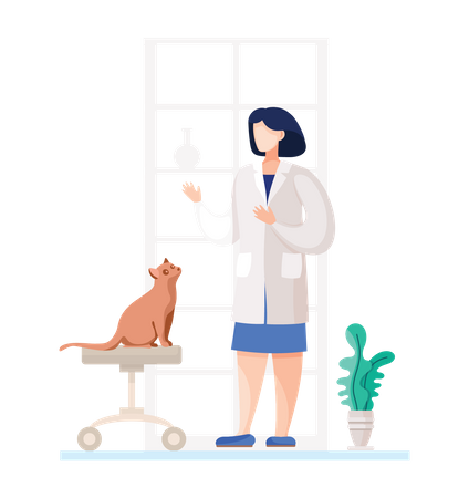 Female vet doctor checking pet cat  Illustration