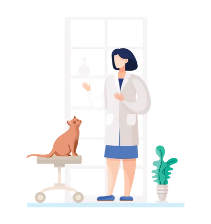 Female vet doctor checking pet cat  Illustration