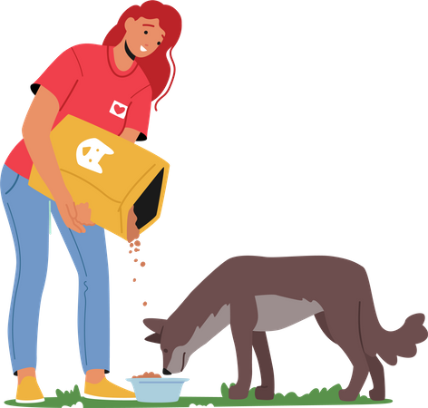 Female volunteer feeding food for homeless dog  Illustration