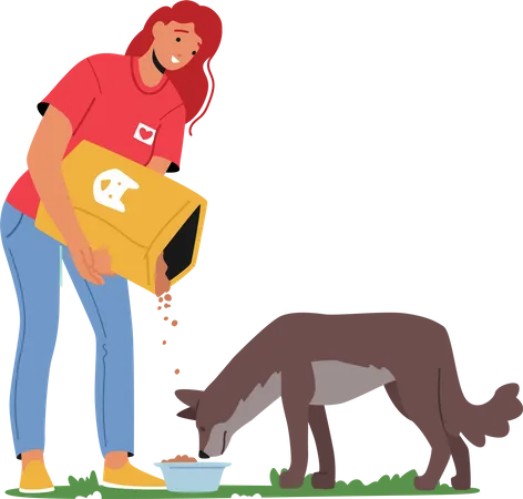 Female volunteer feeding food for homeless dog  Illustration