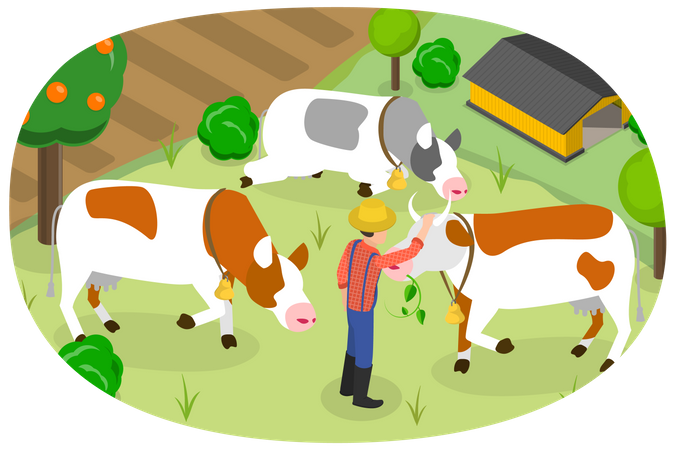 Ferme de vaches  Illustration