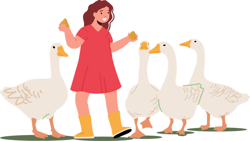 Fille nourrissant de la volaille aux canards  Illustration