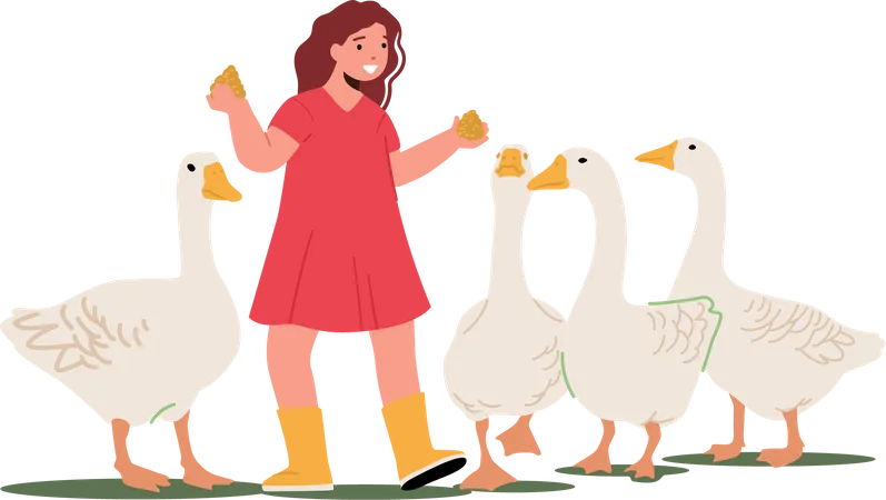 Fille nourrissant de la volaille aux canards  Illustration