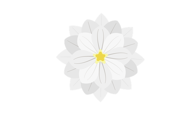 Flor de dalia blanca  Ilustración