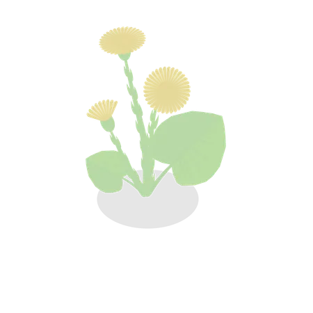 Flower plant  Illustration