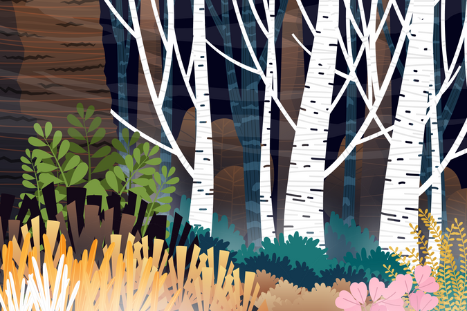 Forest scene  イラスト