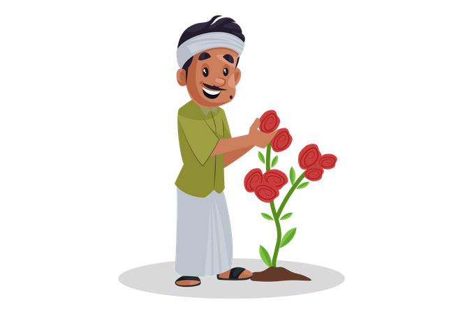 Gardener picking up rose from plant  Illustration