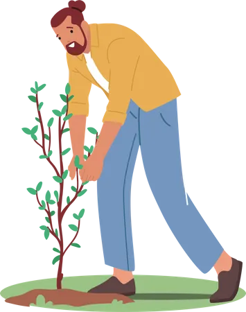 Gardener Planting Tree  Illustration