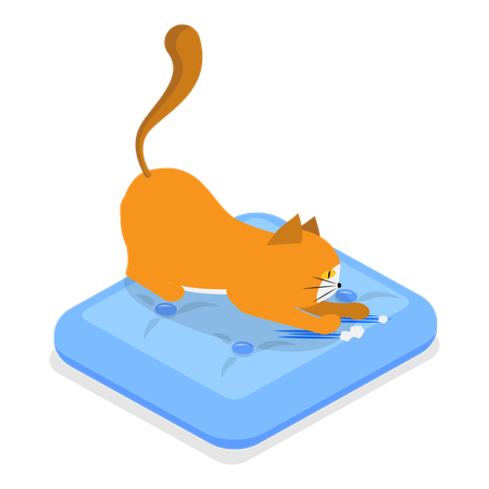 Gato jugando en la piscina  Ilustración