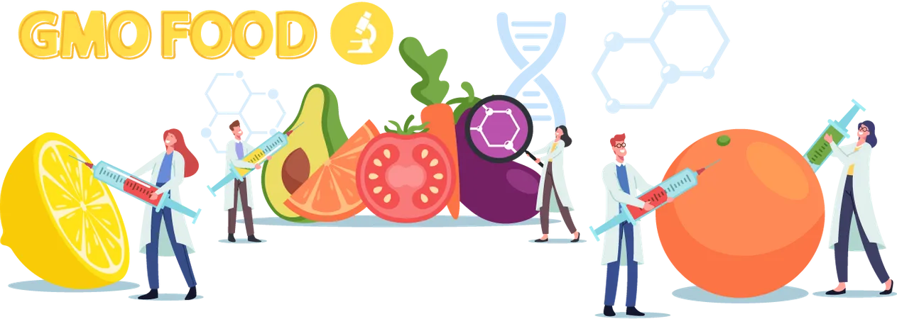 Genetically Modified Food and Agriculture  Illustration