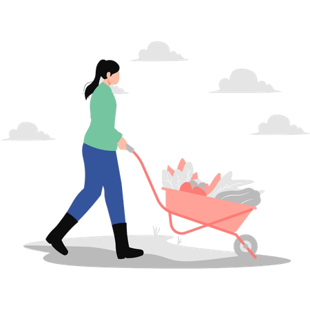 Girl carrying vegetables in wheelbarrow  Illustration