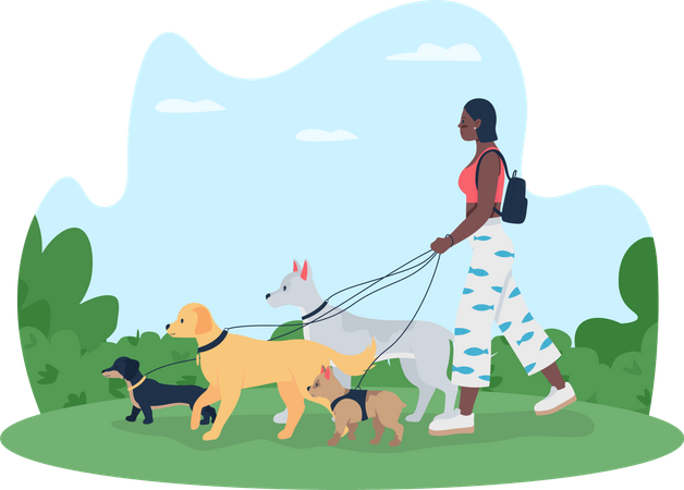 Girl going for walking with dogs  Illustration