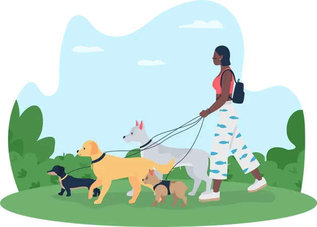 Girl going for walking with dogs  Illustration