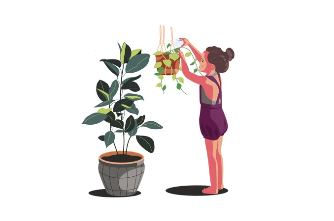 Girl watering the plant  Illustration