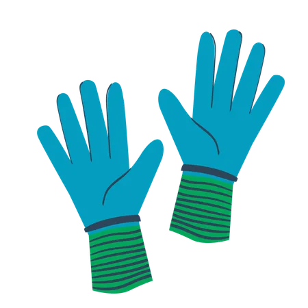 Gloves  Illustration