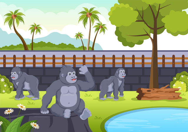 Gorillas in zoo  イラスト